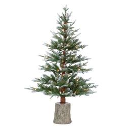 Sterling 4 ft. Pre Lit Clear UL Potted Natural Cut Lightly Frosted Pine