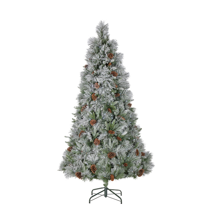 Sterling 5 ft. Pre Lit Warm White LED Lightly Flocked Snowbell Pine