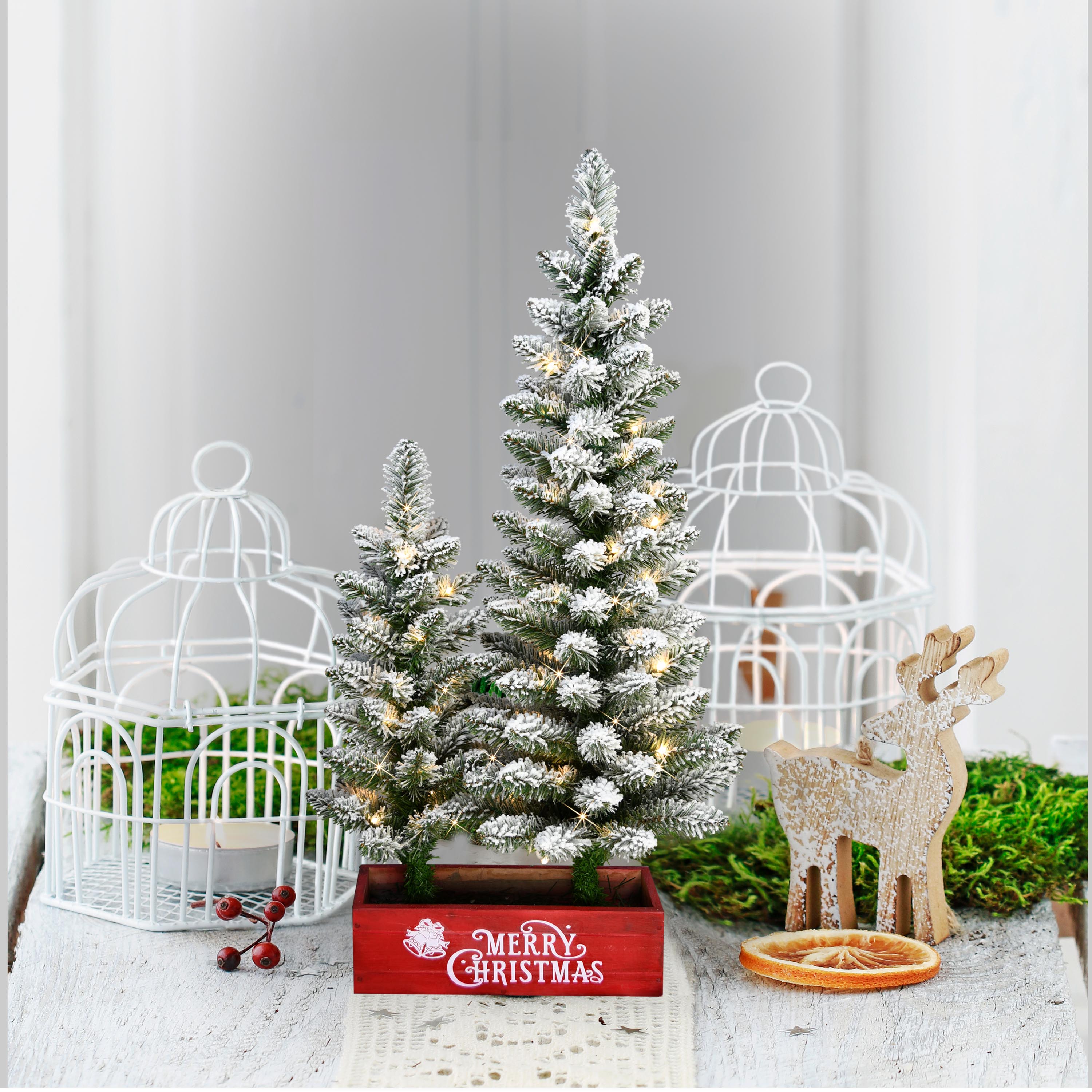 2ft & 3ft Potted Flocked Pencil Christmas Trees