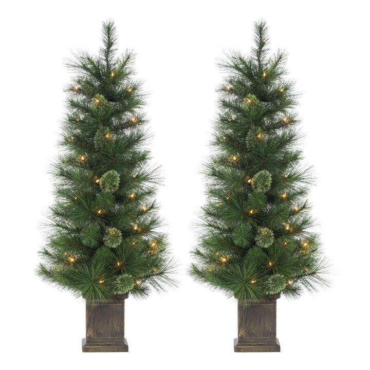 Sterling Set of 2 Elegant 4 Foot Potted Hard Needle Cashmere Trees with Warm White LED Lights