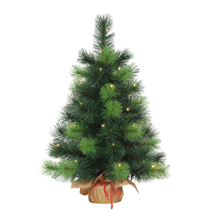 2 ft Pre-Lit Table Top Artificial Christmas Tree with 35 Lights in Gold Sac Green 1862-ST20LW035A-BO