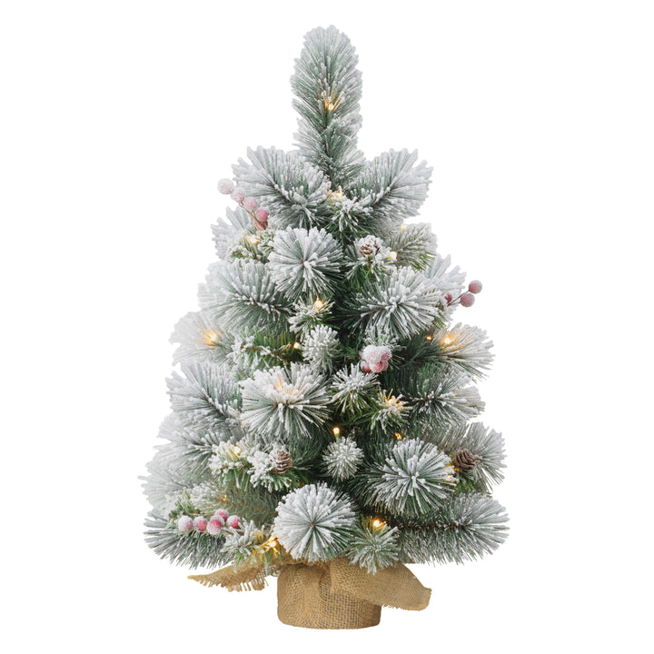 2 ft Pre-Lit Table Top Artificial Christmas Tree with 35 Lights in Tan Sac Green 1830-ST20LW035A-BO