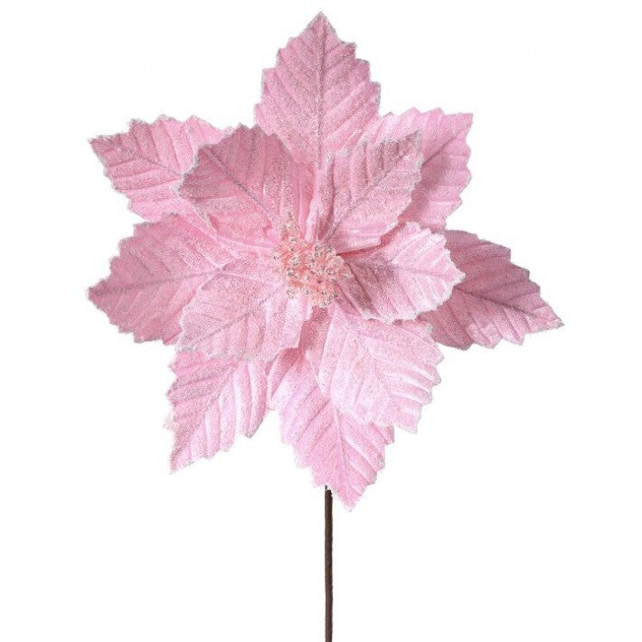 20" Sugared Pink Poinsettia Stem # MTX62033_PINK