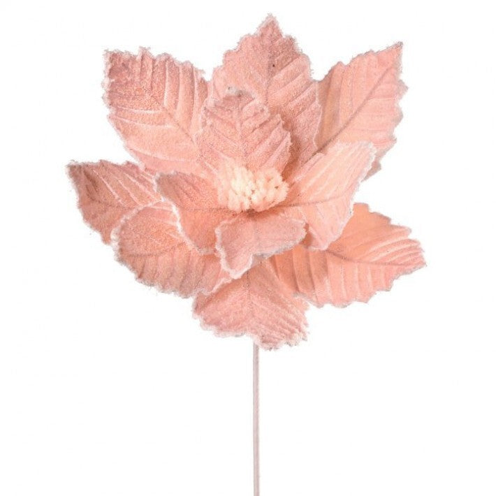 24" Pink Glitter Velvet Snow Edge Poinsettia Stem # MTX66886_PINK