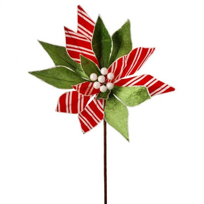 24" Peppermint & Green Poinsettia Stem # MTX70433_WGRR