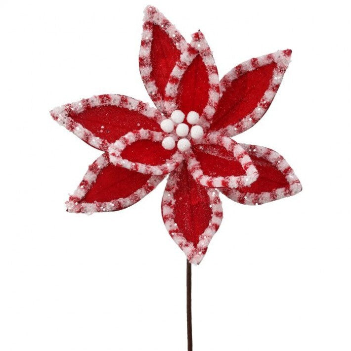 22" Red & White Candy Snowglitter Poinsettia Stem # MTX73365_RDWH