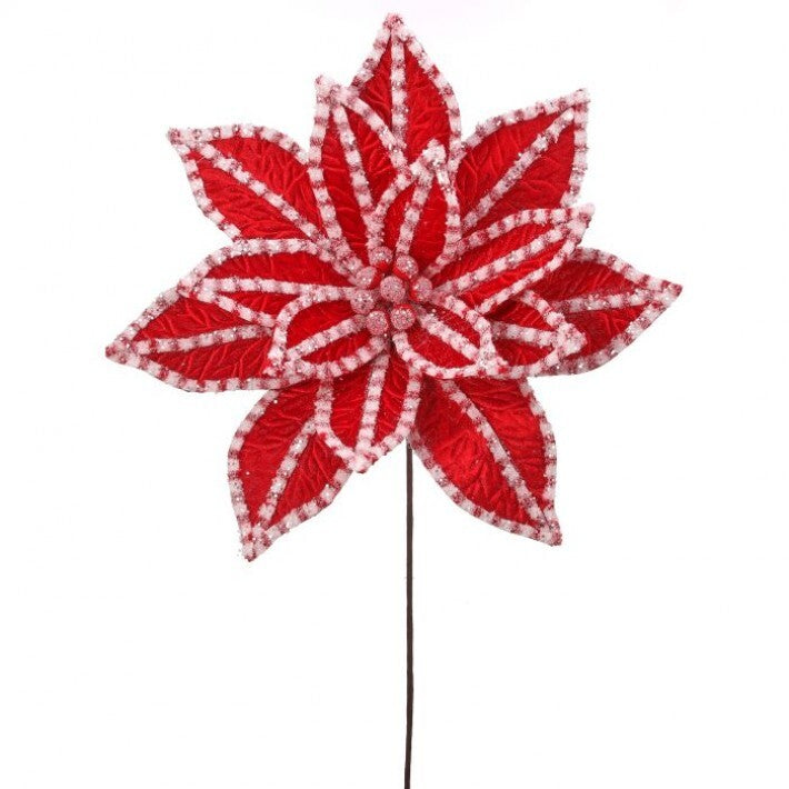 30" Giant Red & White Candy Snowglitter Poinsettia Stem # MTX73418_RDWH