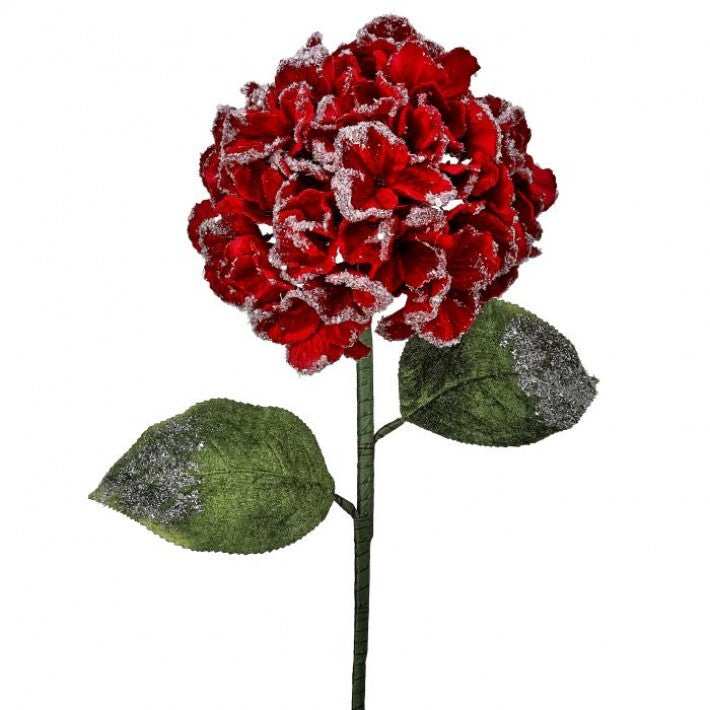 26" Red Velvet Snowy Edge Hydrangea Stem # MTX74465_RED