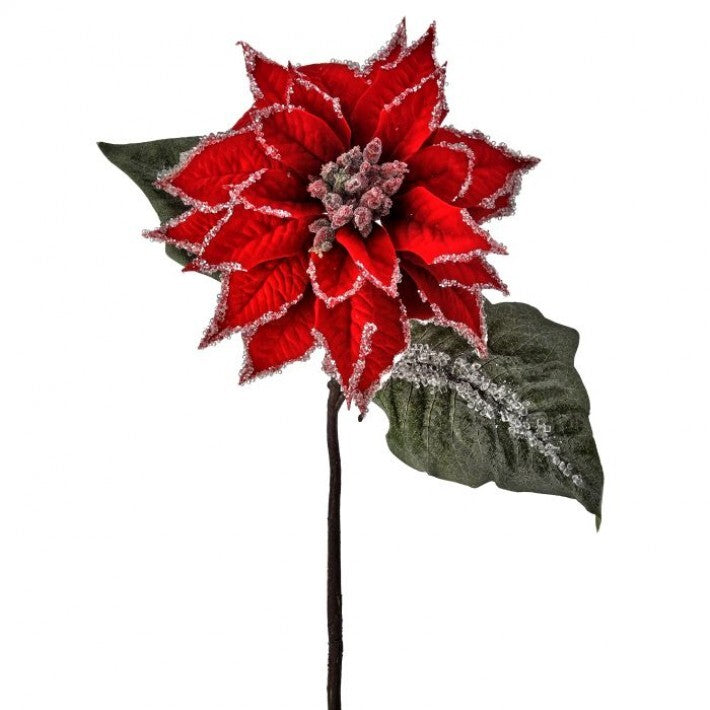 24" Red Velvet Iced Glitter Poinsettia Stem # MTX74542_RED