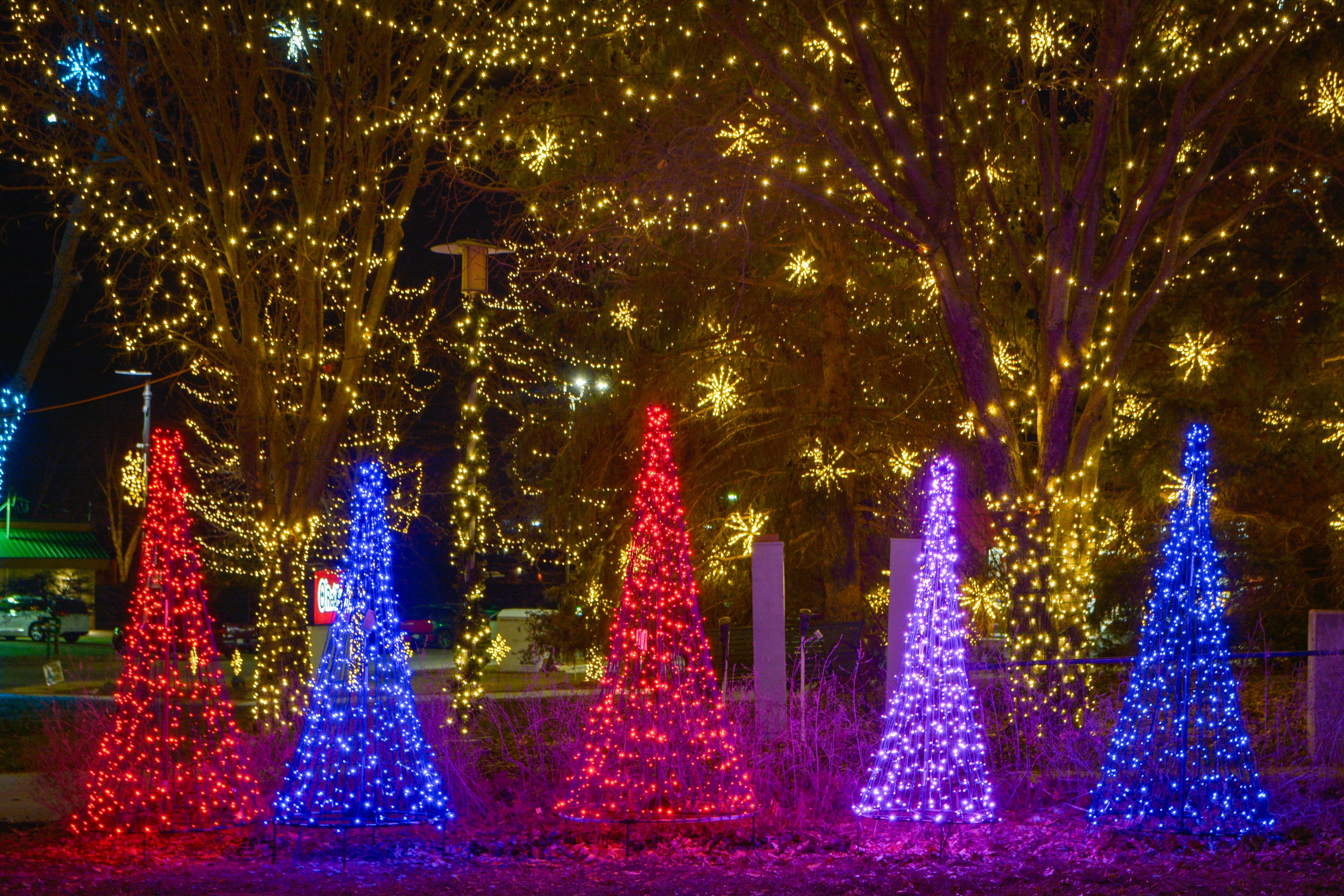 Brite Ideas 6', 8' or 10' Mini Light Tree Frame for LED Light Strands MLT