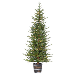 Sterling 6 ft. Pre Lit Clear UL Potted Natural Cut Glendale Pine