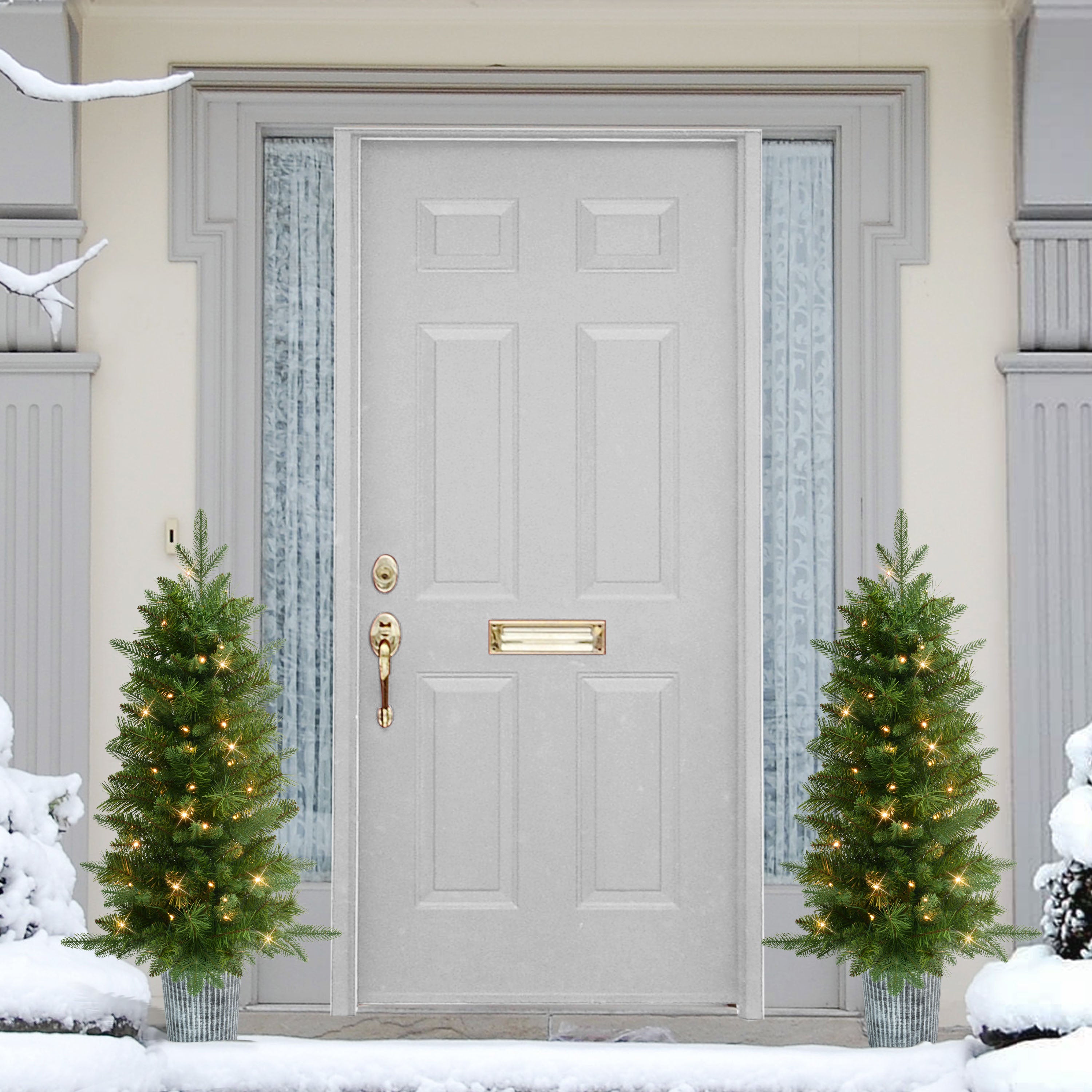 Set of 2 3.5' Battery-Operated Pre-Lit Potted Oregon Fir Christmas Trees