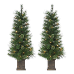 Sterling 4 ft. Pre Lit Clear UL Potted Hard Needle Cashmere Tree Set of 2