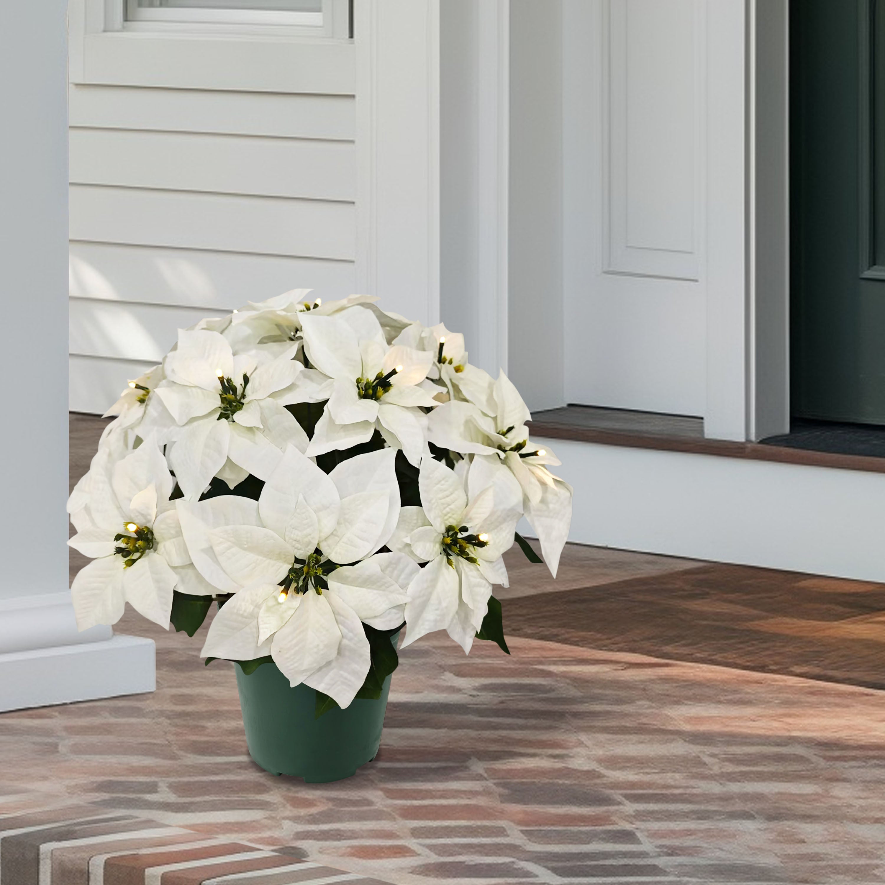 22" Pre-Lit Battery-Operated Potted White Poinsettias