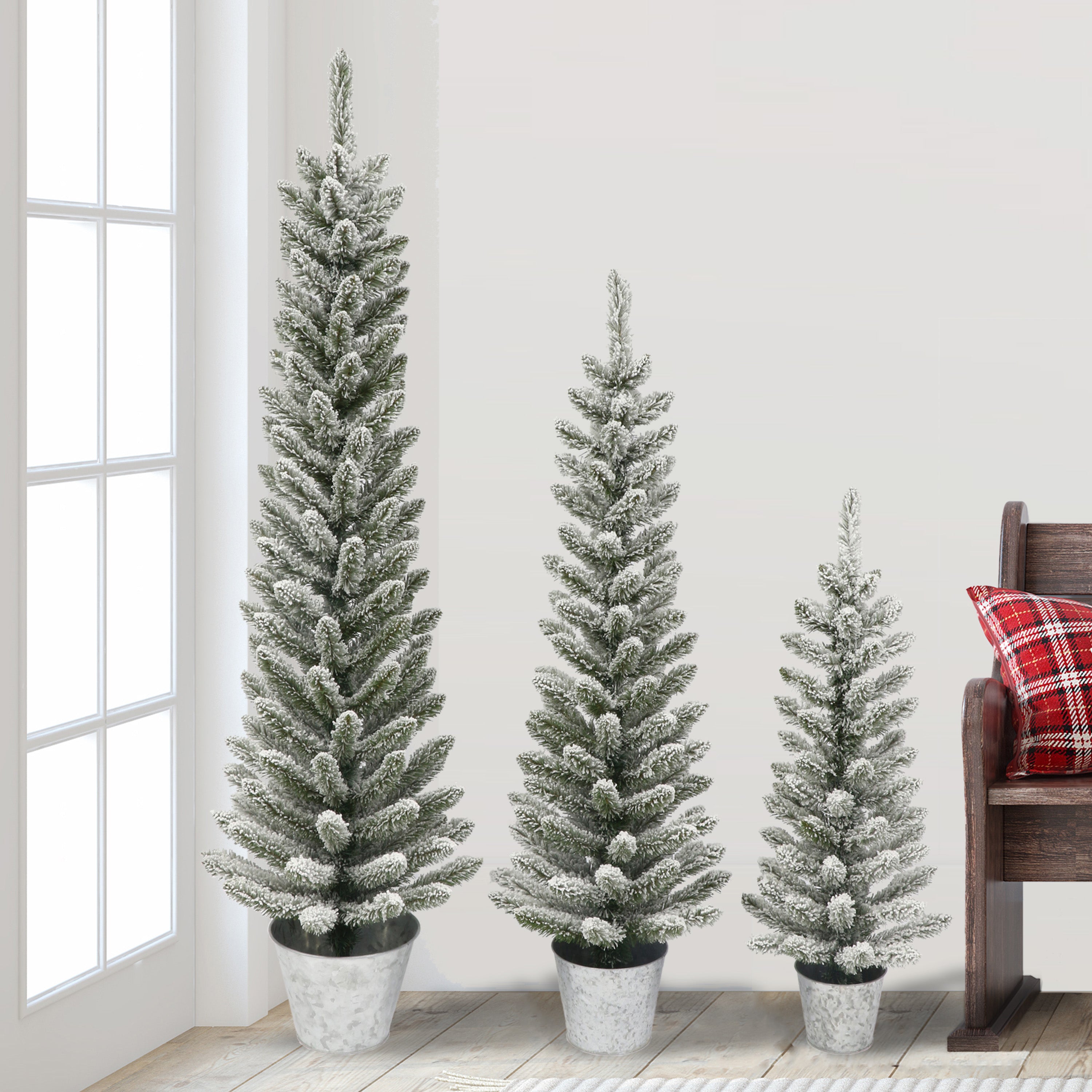 Potted Flocked Pencil Trees in 3ft, 4ft & 5ft sizes