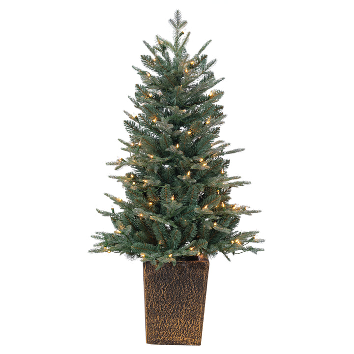 Sterling 4 ft. Pre Lit Clear UL Potted Natural Cut Blue Spruce #5265--40c