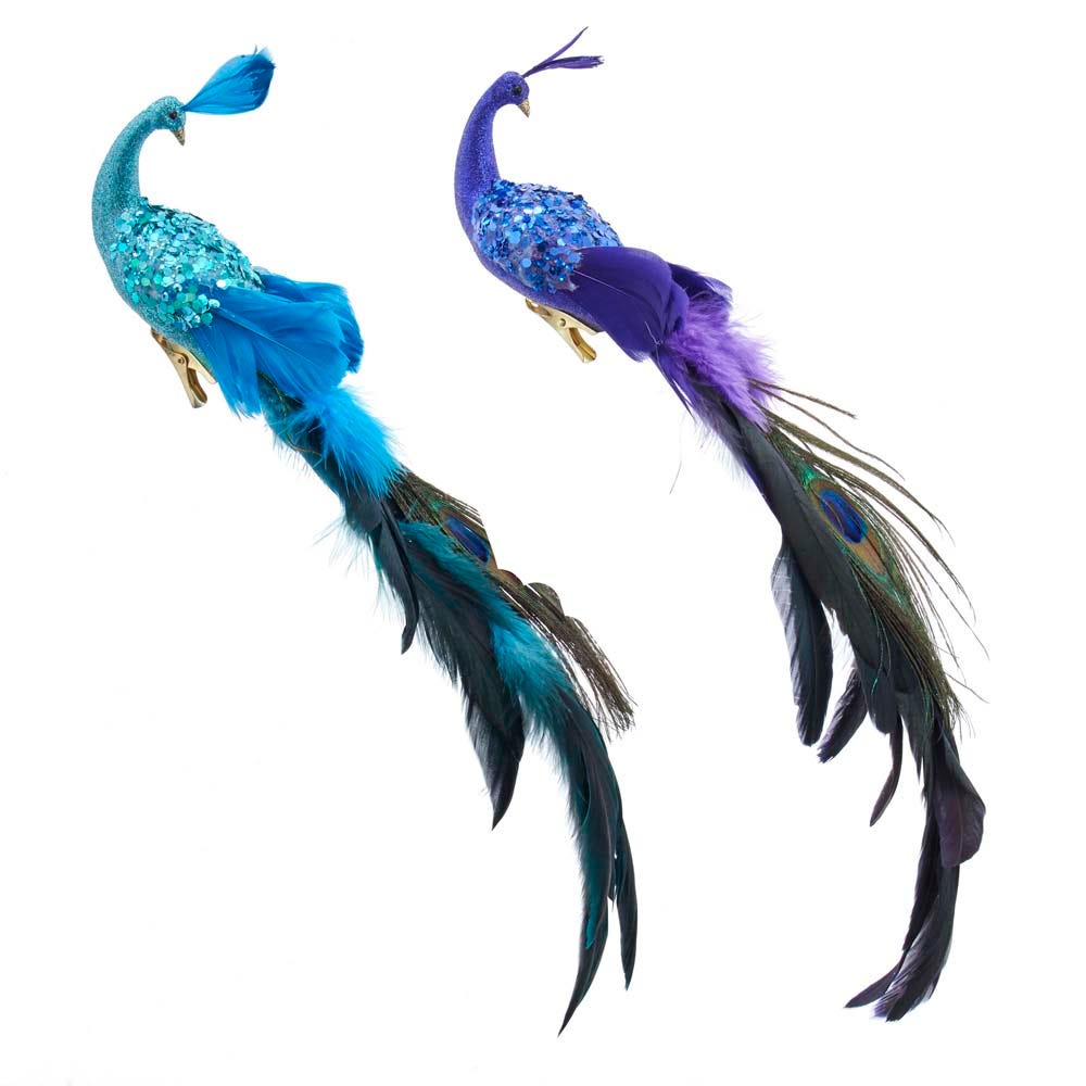 15" Feather Peacock with Clip Ornament, 2 Assorted D3886