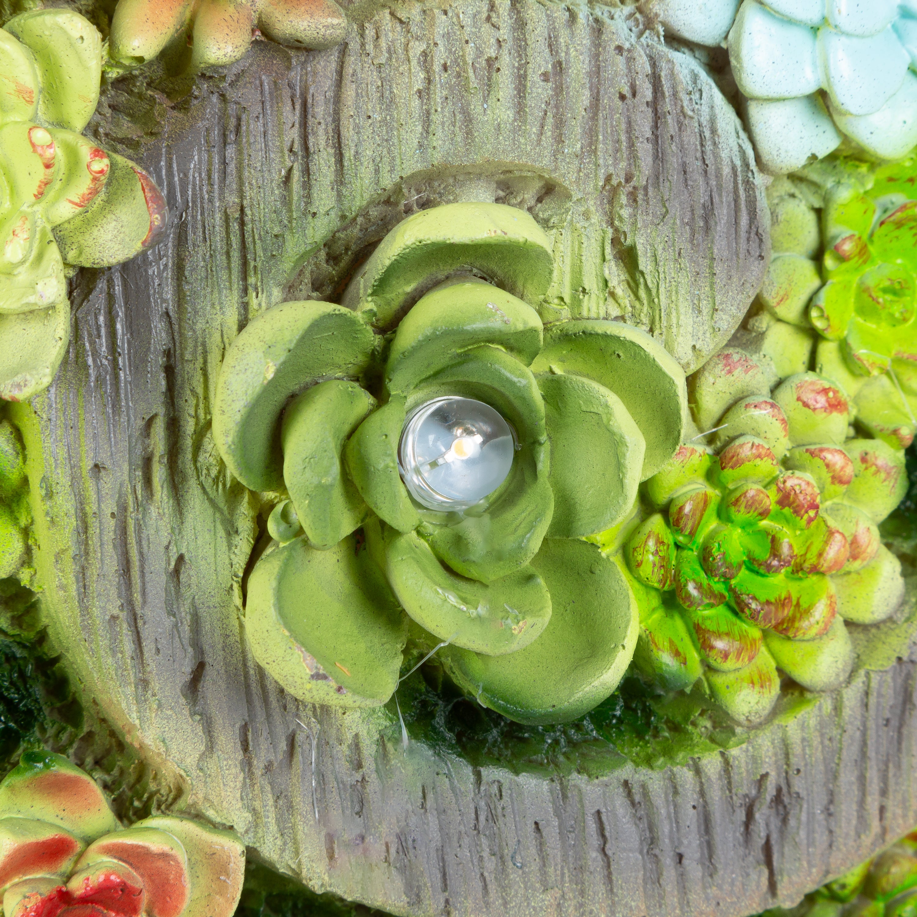 16.6 in. Solar Lit Resin Snail Succulent
