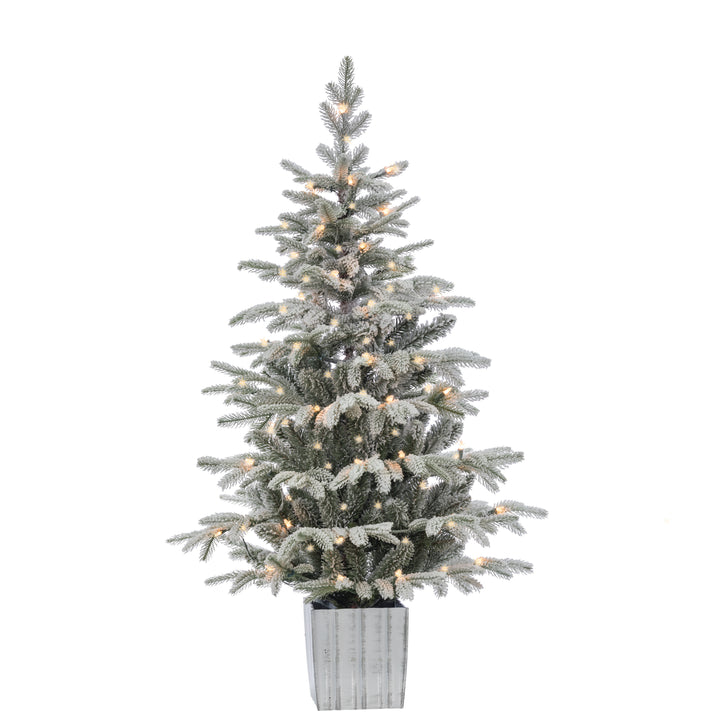 Sterling 4.5 ft. Pre Lit Clear UL Potted Natural Cut Lightly Flocked Iceland Fir