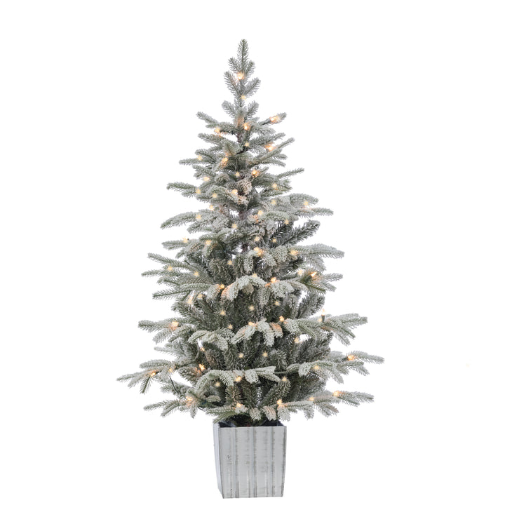 Sterling Elegant 4.5 Foot Potted Natural Cut Lightly Flocked Iceland Fir with Warm White LED Lights #5228--45CLED