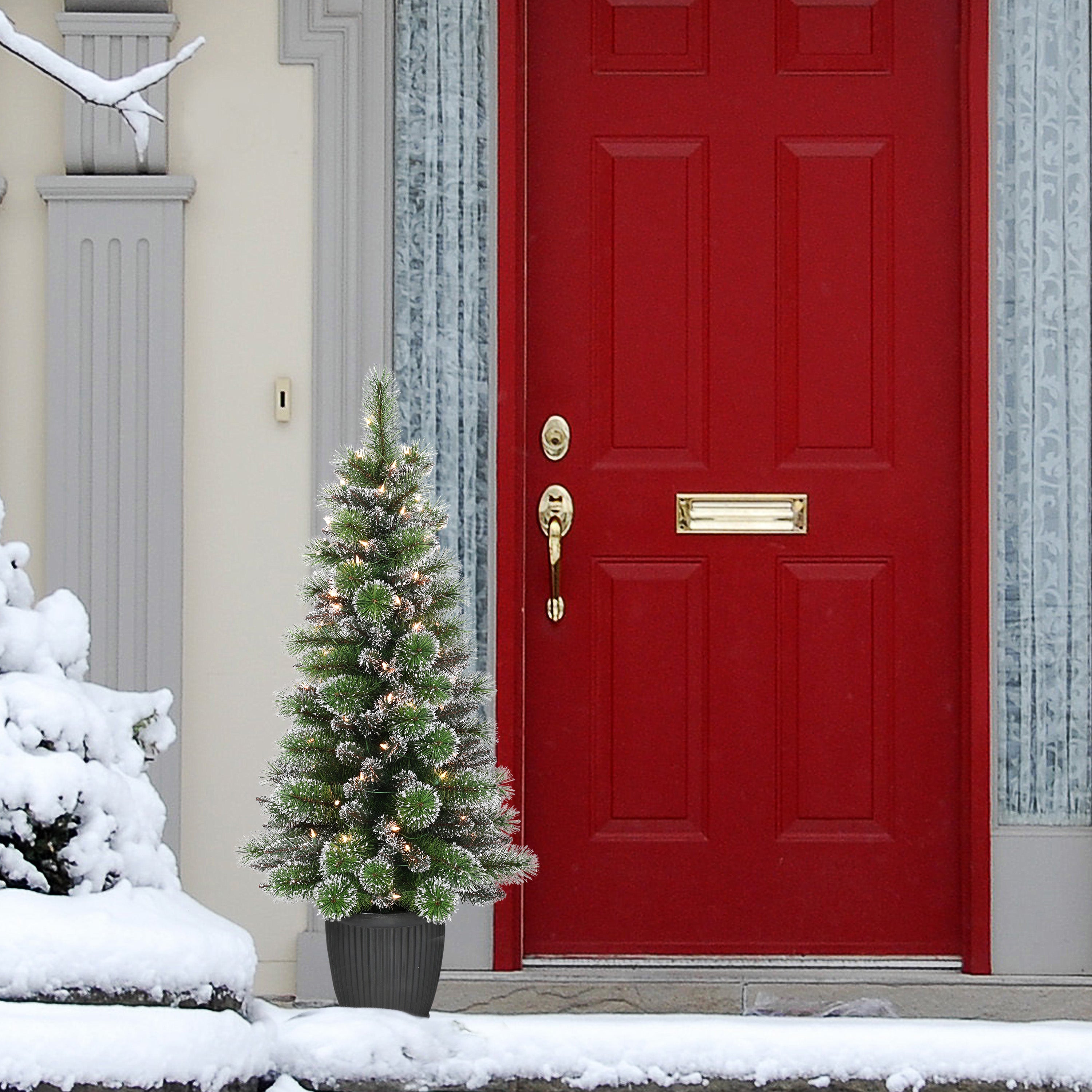 4ft Pre-Lit Potted Pine Christmas Tree