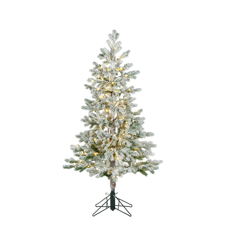 Sterling 5 ft. Pre Lit Clear LED Flocked Sparse Rainier Pine