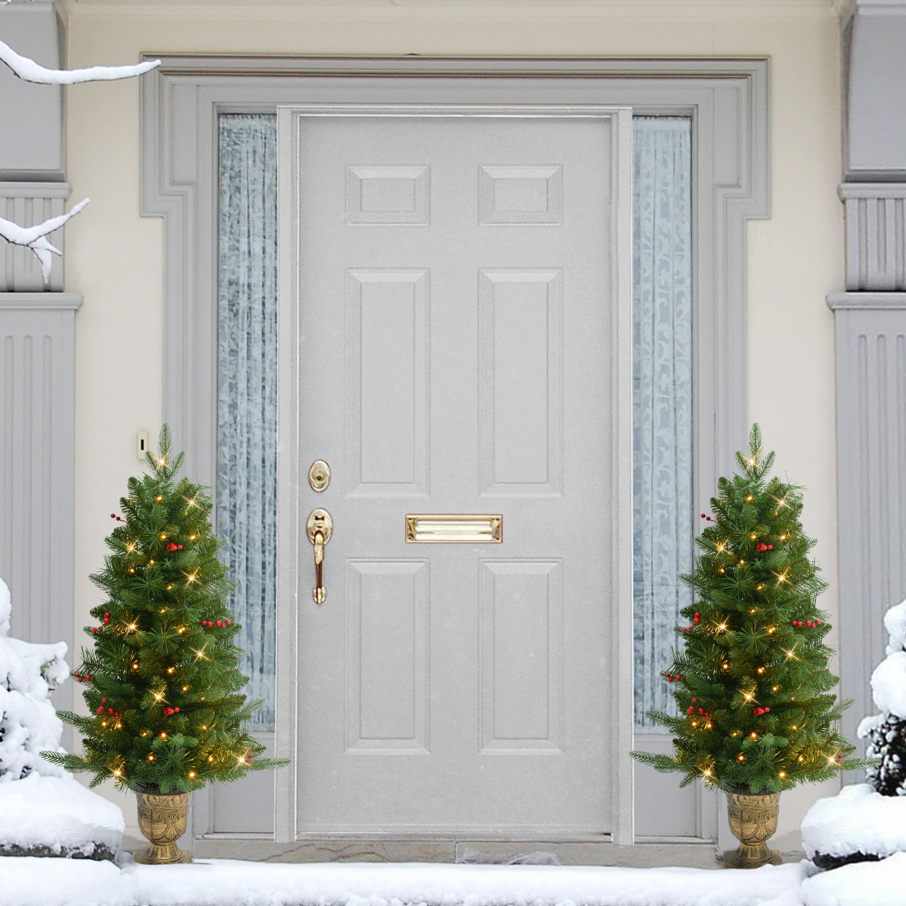 Set of 2 Battery-Operated Pre-Lit Potted Oregon Fir Trees