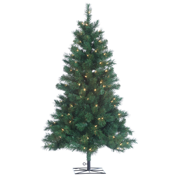 Sterling 4 ft. Pre Lit Clear UL Colorado Spruce Tree