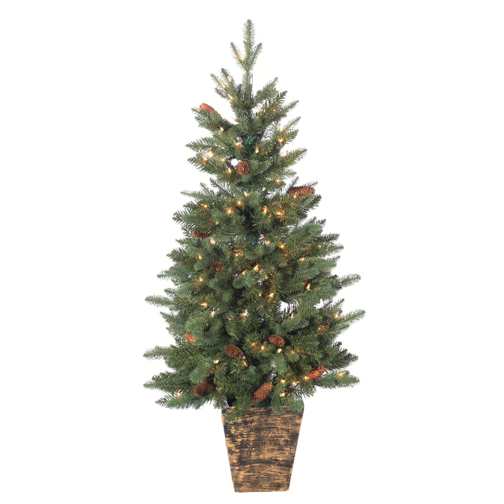 Sterling Charming 4 Foot Potted Natural Cut Georgia Pine with Pinecones in Fiberglass Pot #5581--40CLED