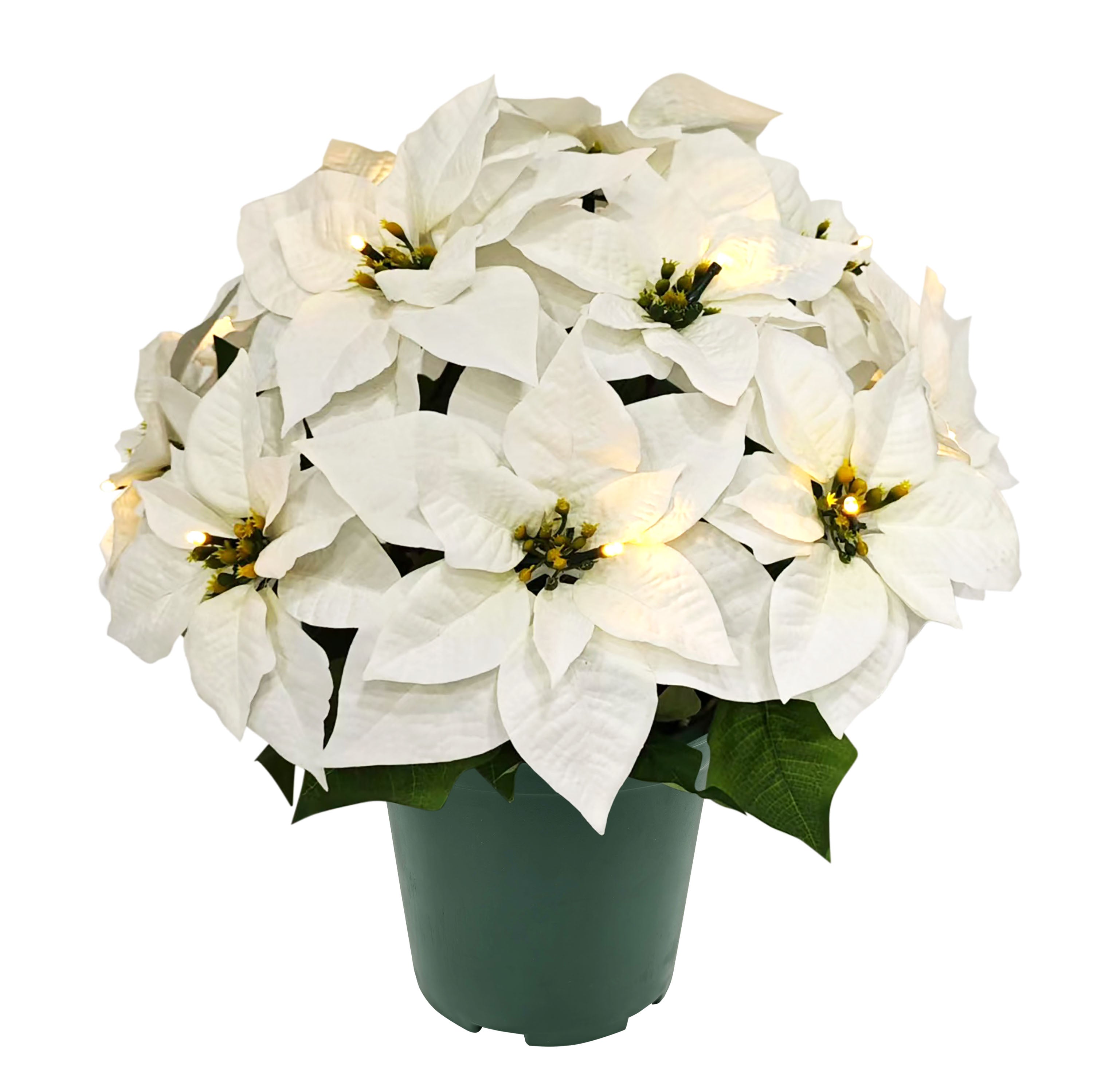 19" Pre-Lit Battery-Operated Artificial Potted White Poinsettias 51063-ST19WHLW015A-BO