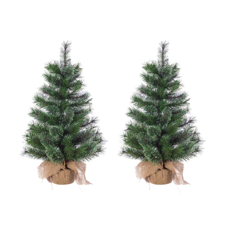 Sterling 30 in. Unlit Hard Needle Pine Set of 2