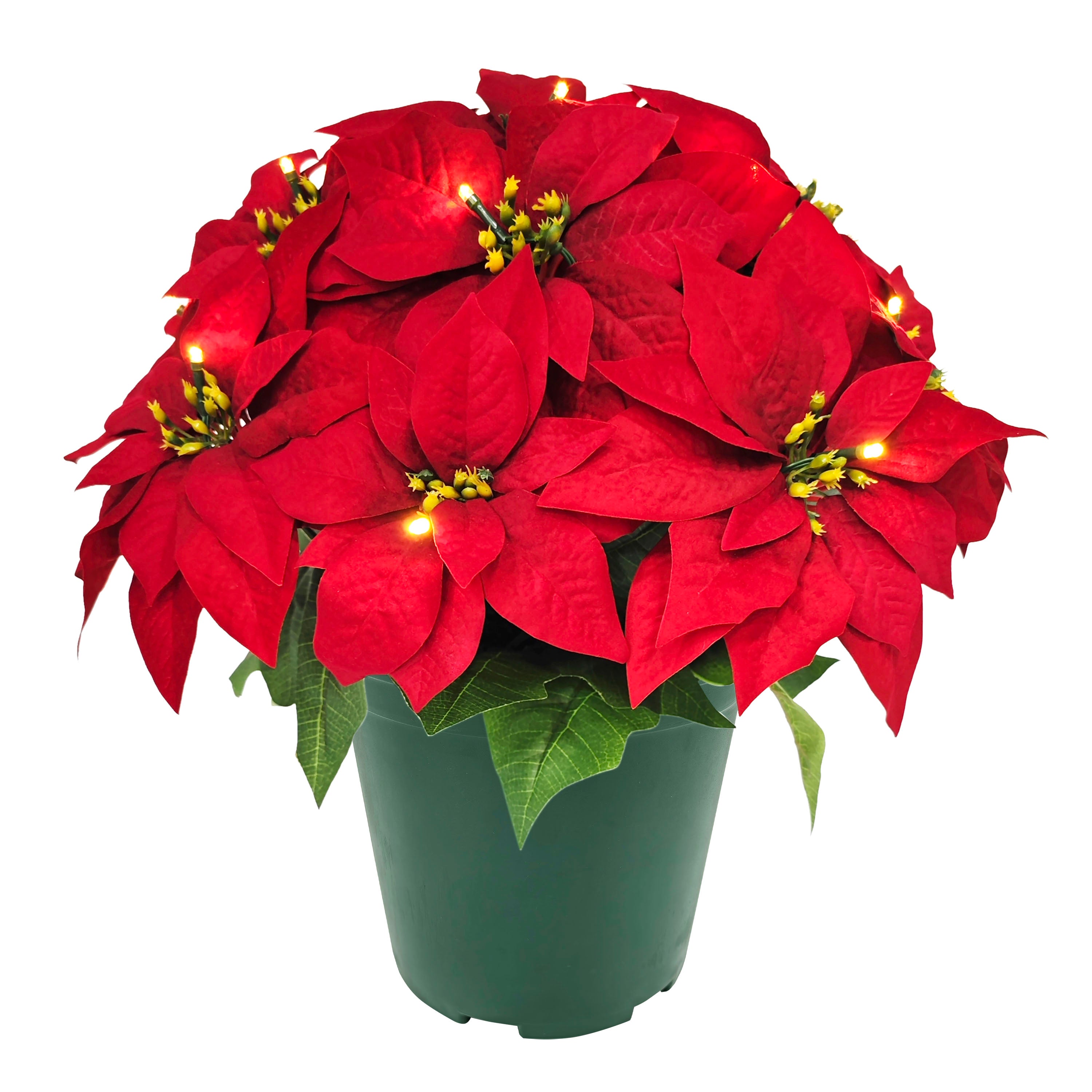 19" Pre-Lit Battery-Operated Artificial Potted Red Poinsettias 51063-ST19RDLW015A-BO