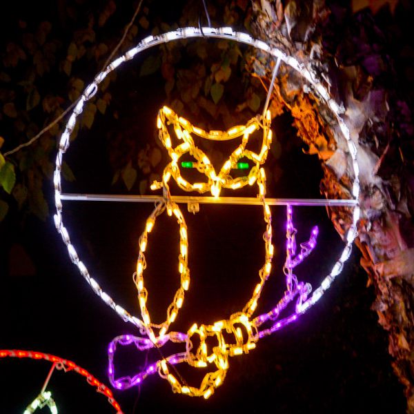 Brite Ideas 41" Owl with Moon Halloween LED Display OWL36