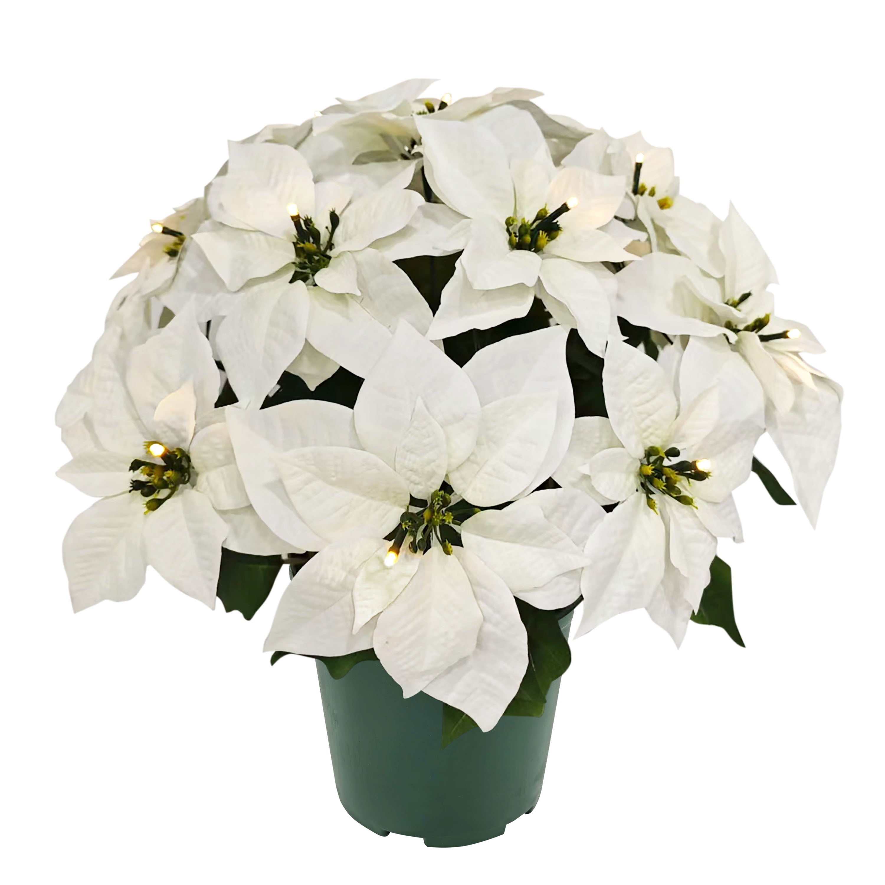 22" Pre-Lit Battery-Operated Artificial Potted White Poinsettias 51064-ST22WHLW017A-BO