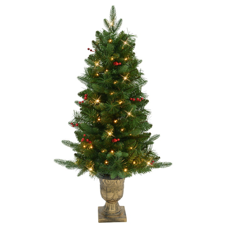 Set of 2 Artificial Battery-Operated Pre-Lit Potted Oregon Fir Trees ORGR-ST35LW05A-2-BO