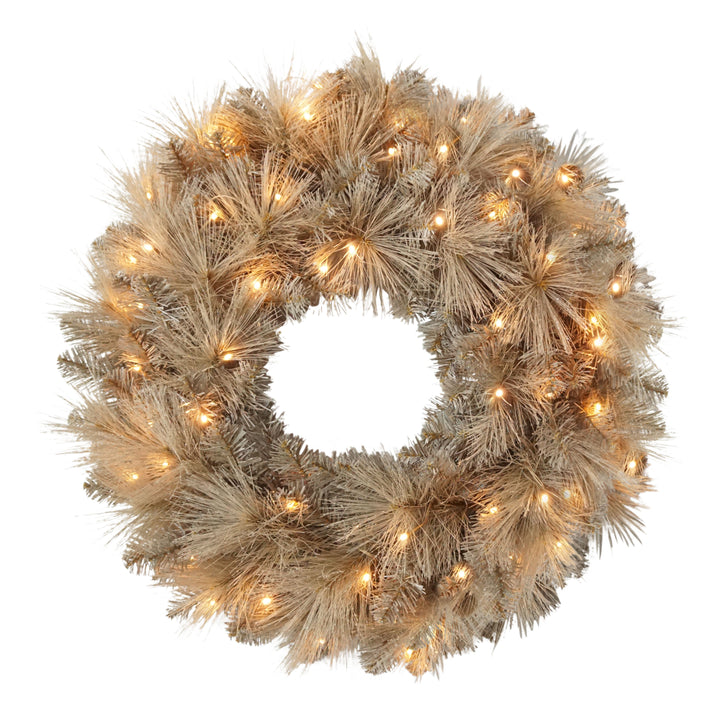 24" Battery-Operated Pre-Lit Tan Wreath with 35 Warm White Lights 4629-W24LW035A-BO