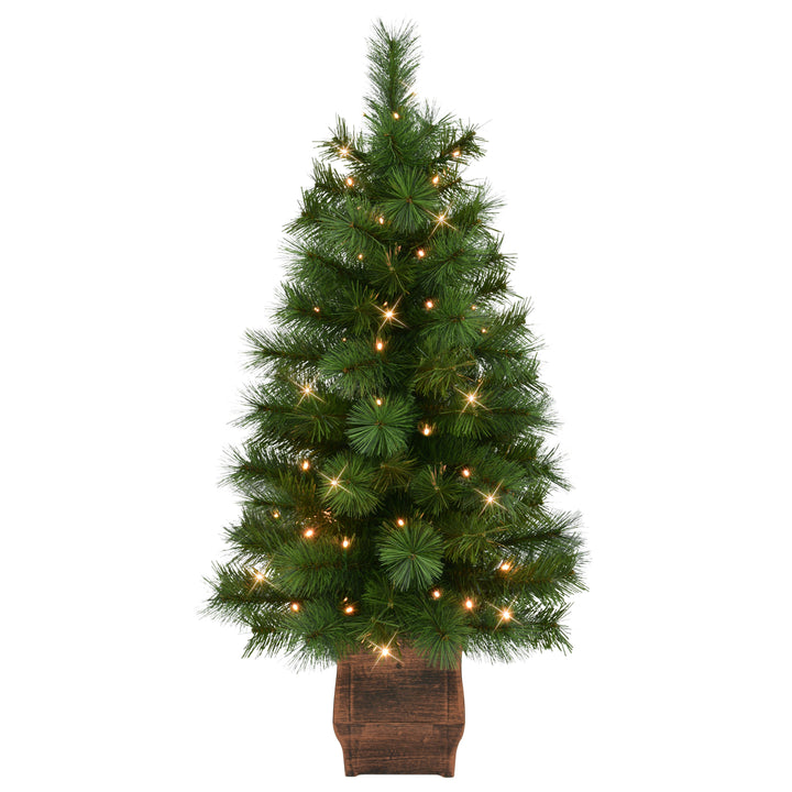 Set of 2 Artificial Battery-Operated Pre-Lit Potted Wyoming Pine Trees WYG-ST35LW05A-2-BO