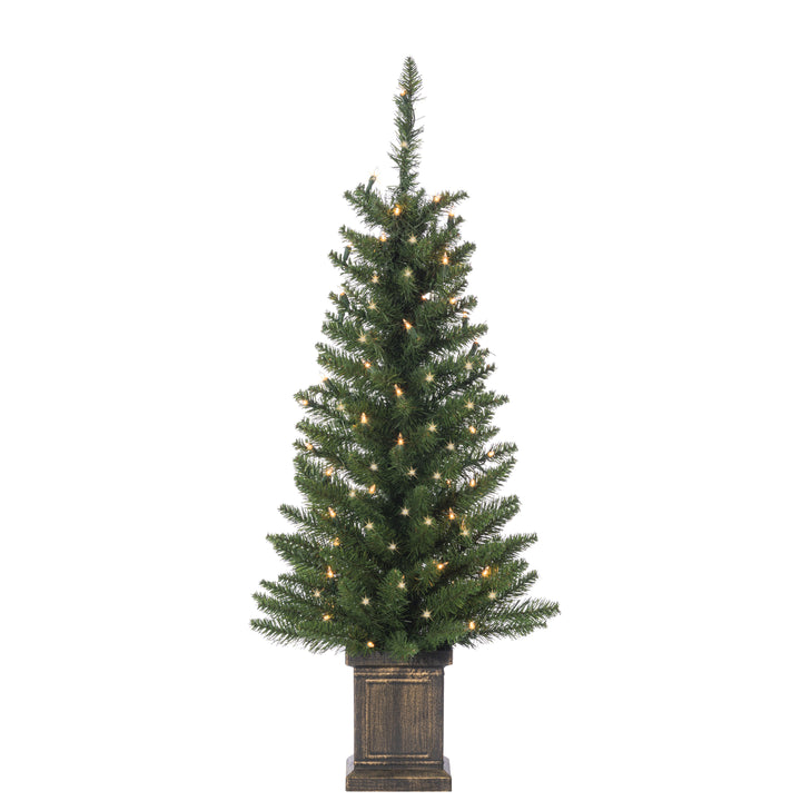 Sterling 3.5 ft. Pre Lit Clear UL Potted Colorado Spruce Tree