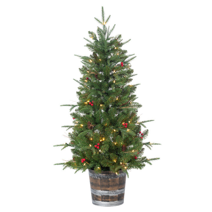 Sterling 4 ft. Pre Lit Clear UL Potted Natural Cut Hudson Pine