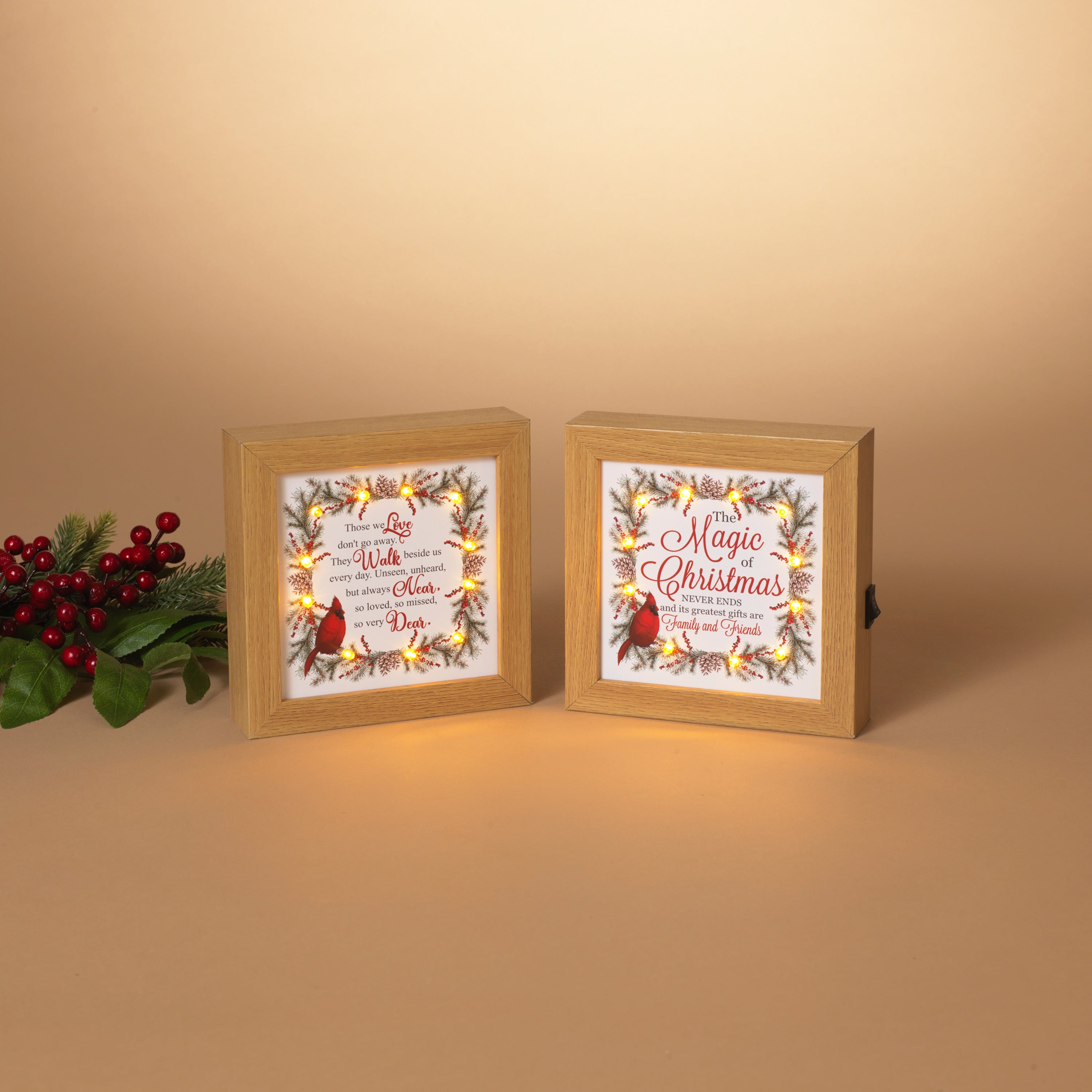 Illuminated 6.3 in L Battery Operated Lighted Wood Holiday Cardinal Design Blocks 2652890EC