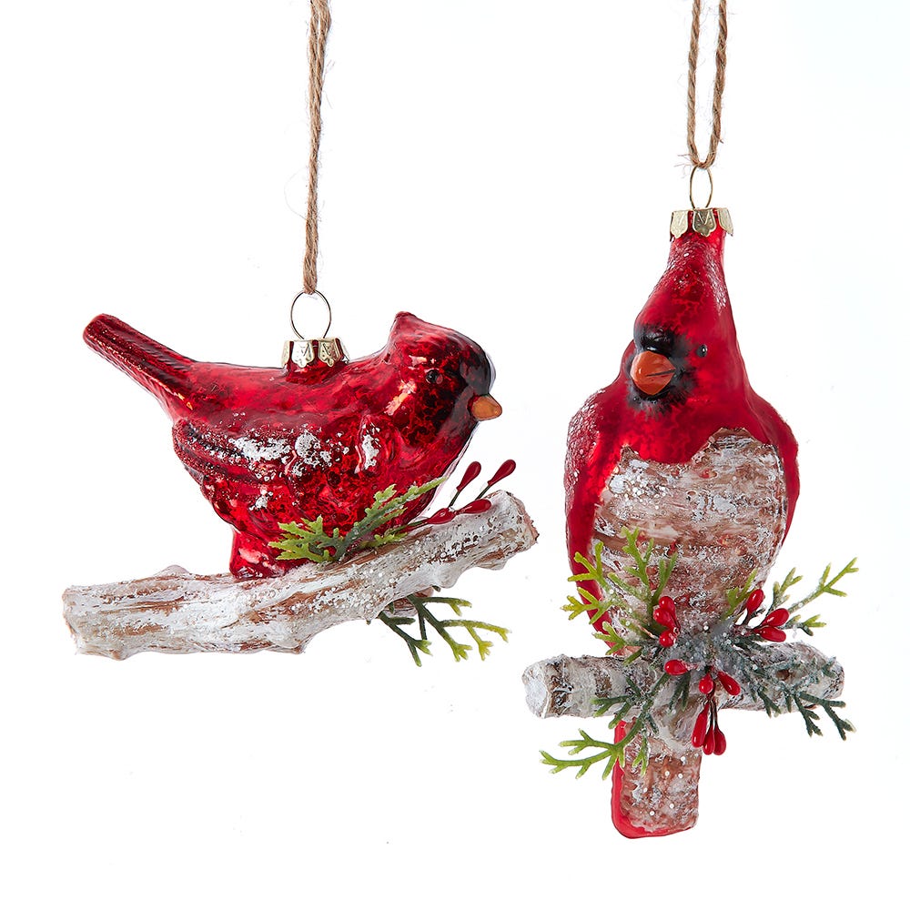 4.25-5.5" Glass Red Cardinal Ornament, 2 Assorted #T3674