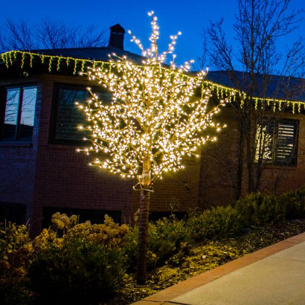 Brite Ideas 12' LED Linden Tree Display TCCW12