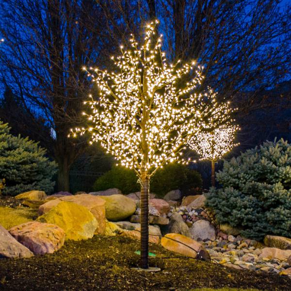 Brite Ideas 8' LED Linden Tree Display TCCW8