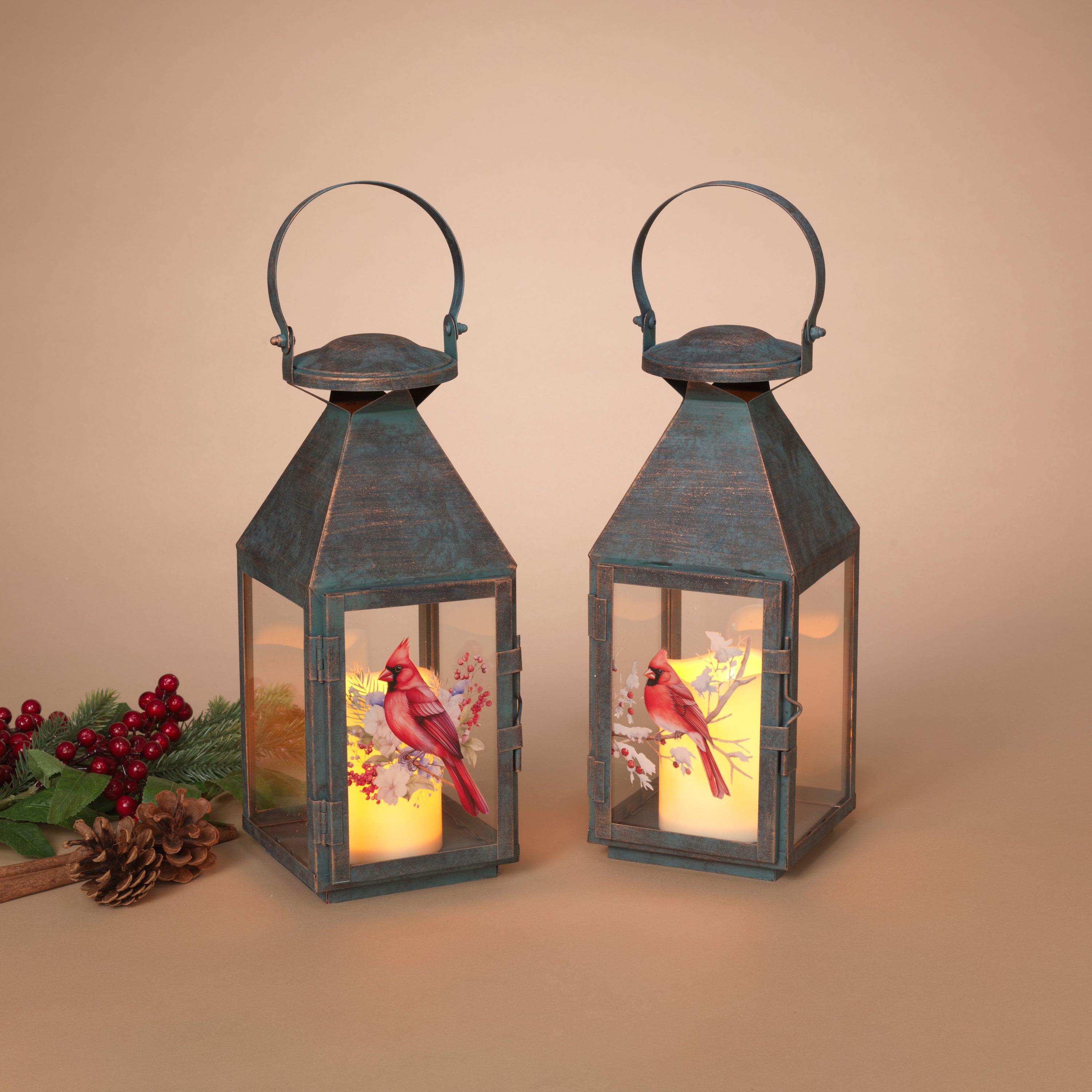 Illuminated 12.3 in H Battery Operated Lighted Metal and Glass Cardinal Design Lanterns, Set of 2 2791630EC