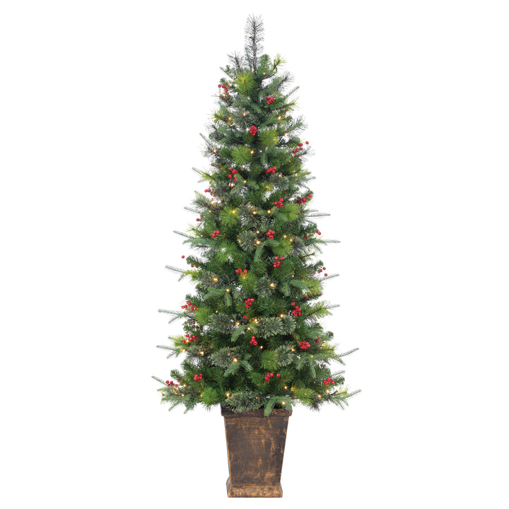 Sterling 6 ft. Pre Lit Warm White LED Potted Hard Needle Douglas Pine #5266--60MLWW