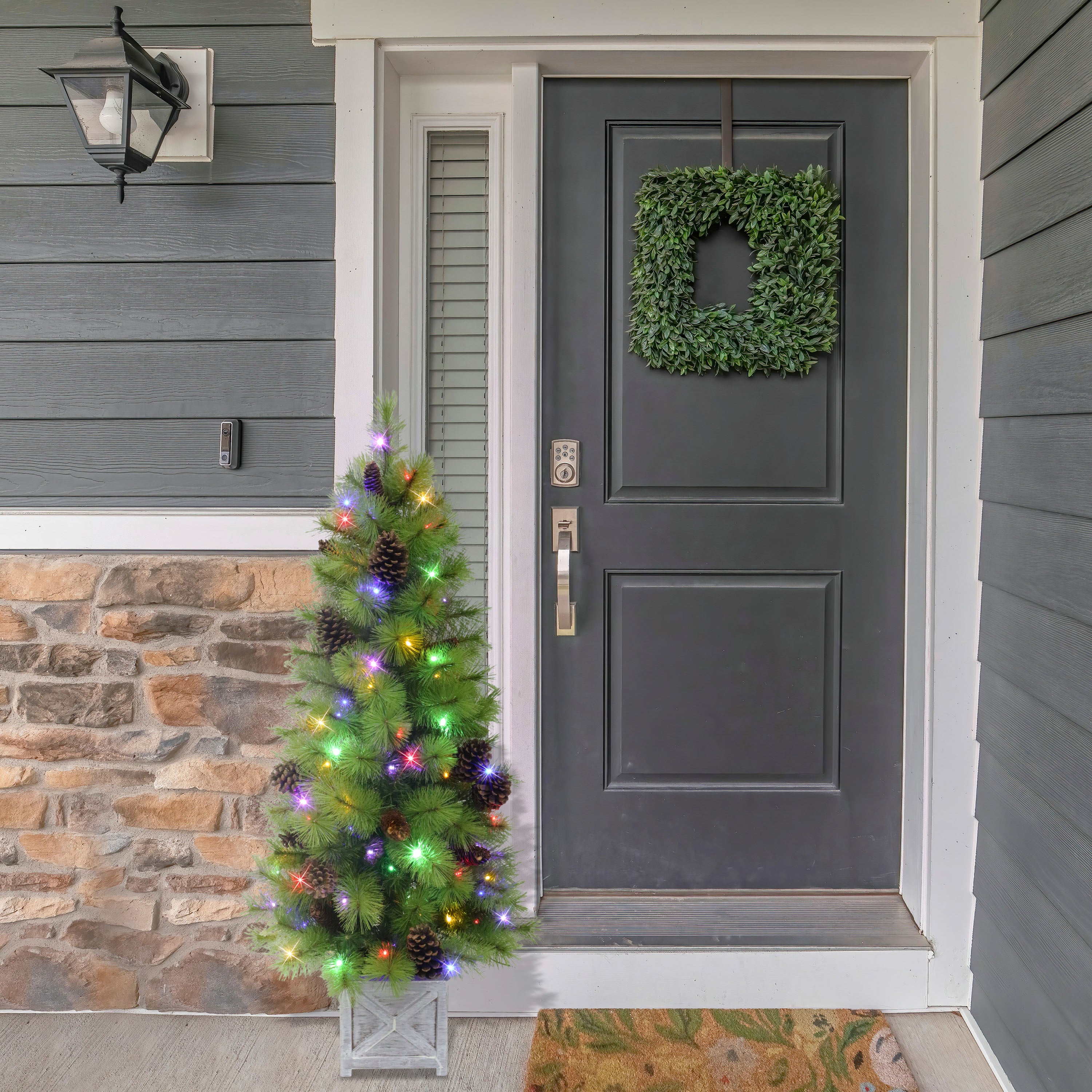 4.5' Pre-Lit Arkansas Pine Potted Tree