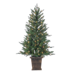 Sterling 4 ft. Pre Lit Clear UL Potted Natural Cut Manitoba Pine