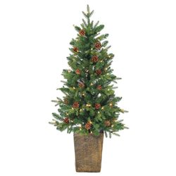 Sterling 4 ft. Pre Lit Clear UL Potted Natural Cut Georgia Pine
