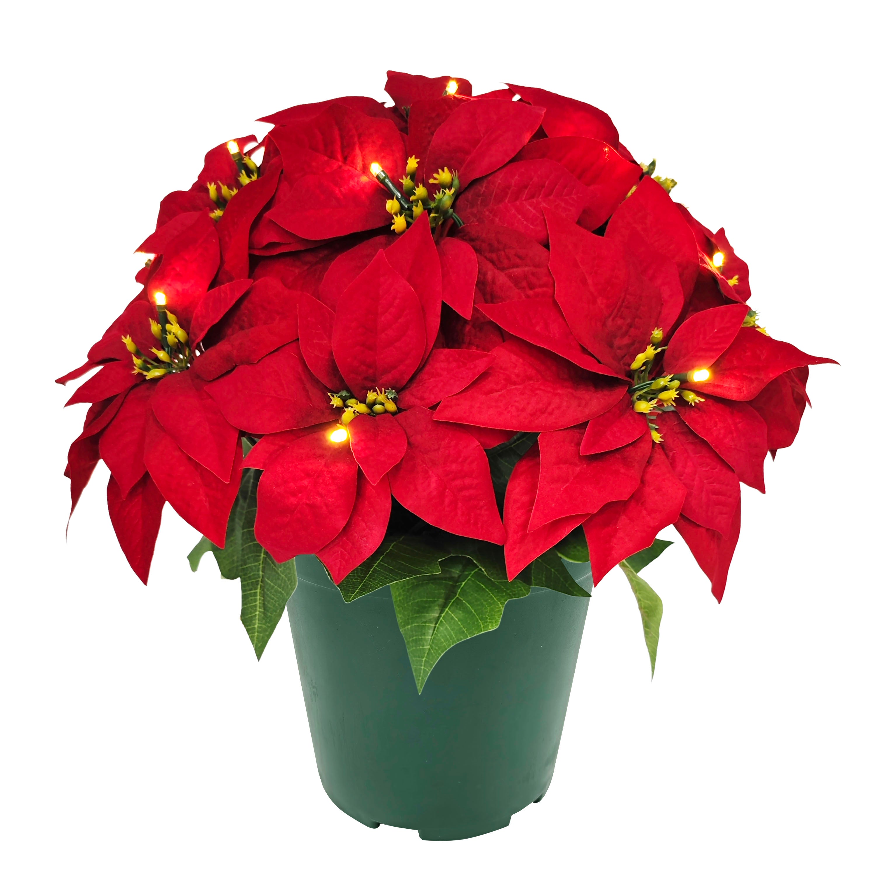 22" Pre-Lit Battery-Operated Artificial Potted Red Poinsettias 51064-ST22RDLW017A-BO