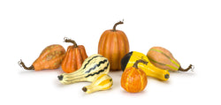 Set of 8 Decorative Harvest Pumpkin and Gourd